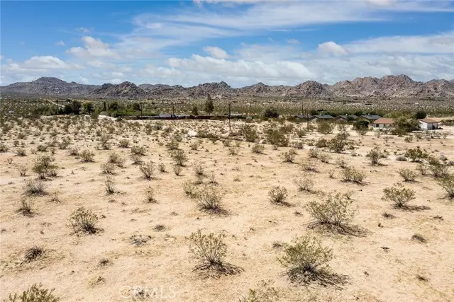 64532 Chollita, Joshua Tree, CA 92252