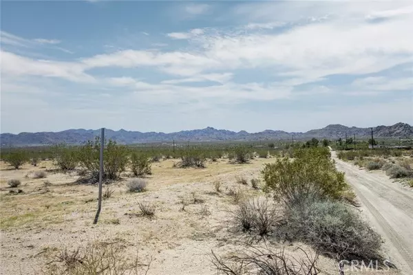 Joshua Tree, CA 92252,64532 Chollita