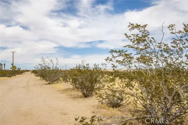 Joshua Tree, CA 92252,4225 Benji