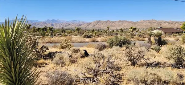 Yucca Valley, CA 92284,0 Chula Vista