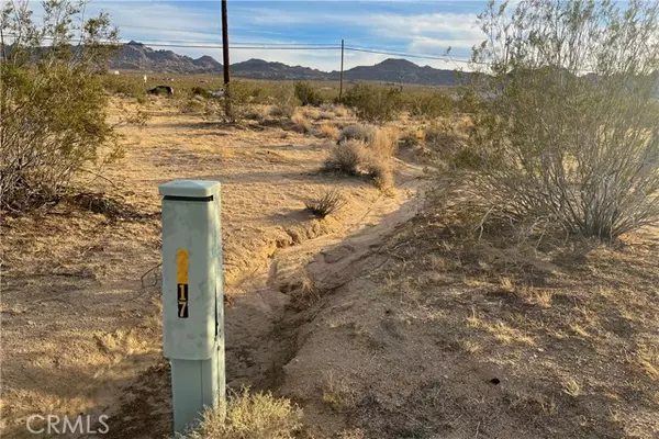 Joshua Tree, CA 92252,64600 Twentynine Palms