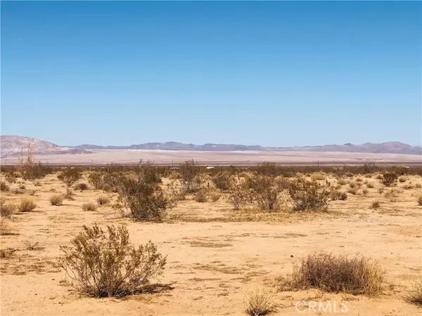 Joshua Tree, CA 92252,0 Venus