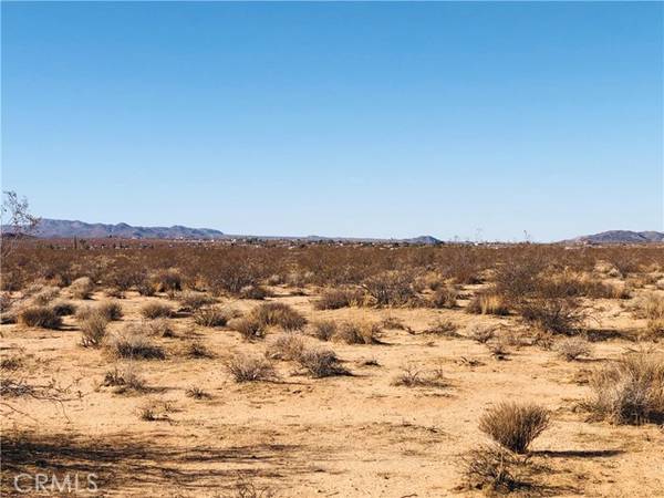 Joshua Tree, CA 92252,0 Venus