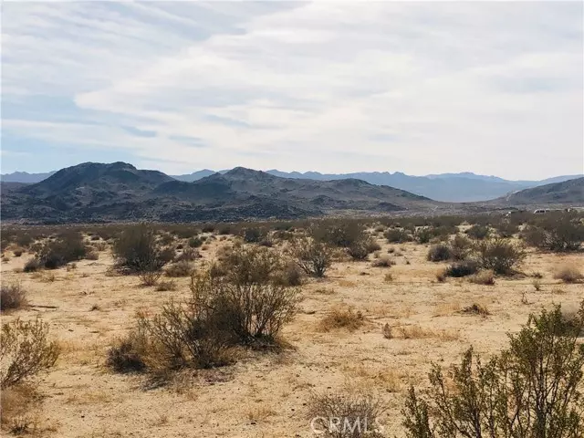 Joshua Tree, CA 92252,0 Ranier