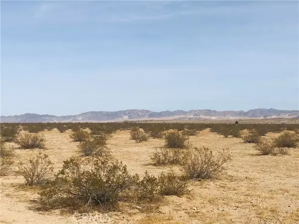 Joshua Tree, CA 92252,0 Fascination