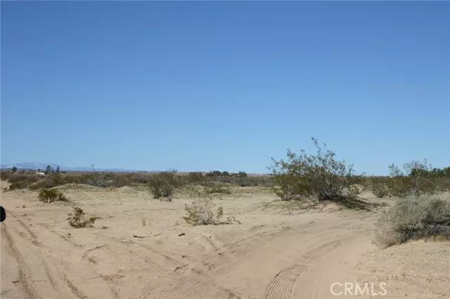 29 Palms, CA 92277,0 Amboy