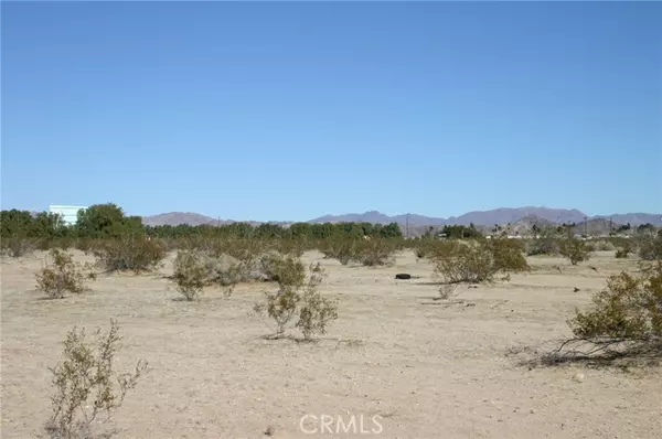 29 Palms, CA 92277,0 Amboy