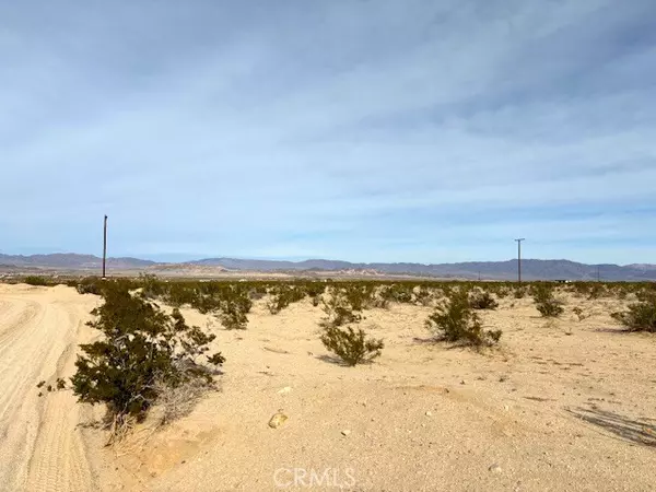 29 Palms, CA 92277,0 Primrose