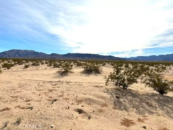 29 Palms, CA 92277,0 Primrose