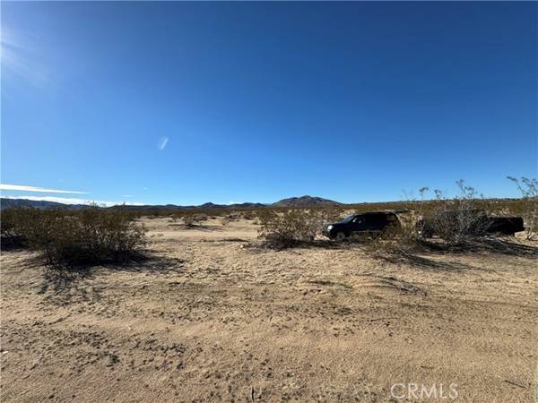 Joshua Tree, CA 92252,63325 Sunflower