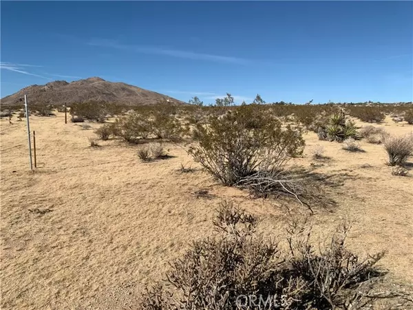 Joshua Tree, CA 92252,62259 Dixie