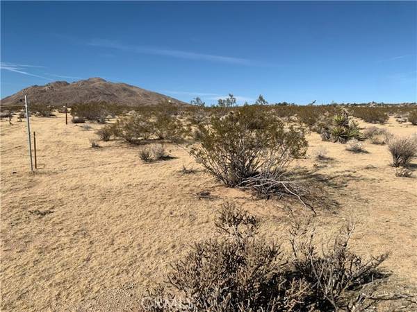 Joshua Tree, CA 92252,62259 Dixie