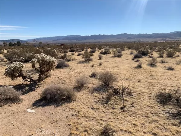 Joshua Tree, CA 92252,62259 Dixie