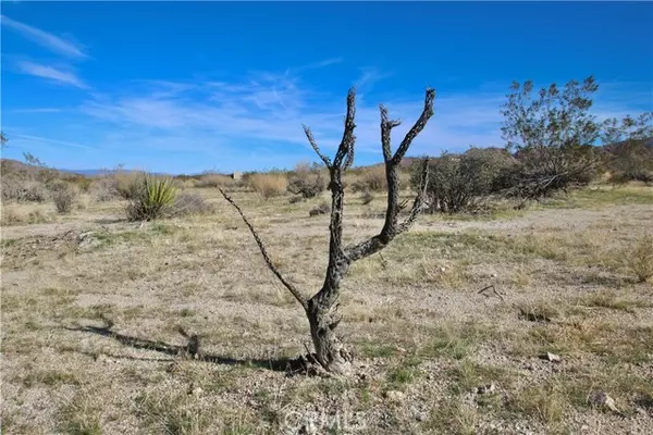 Joshua Tree, CA 92252,64755 Foothill