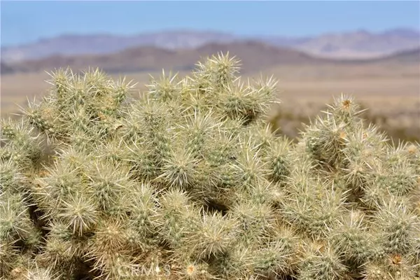 Joshua Tree, CA 92252,64647 Foothill