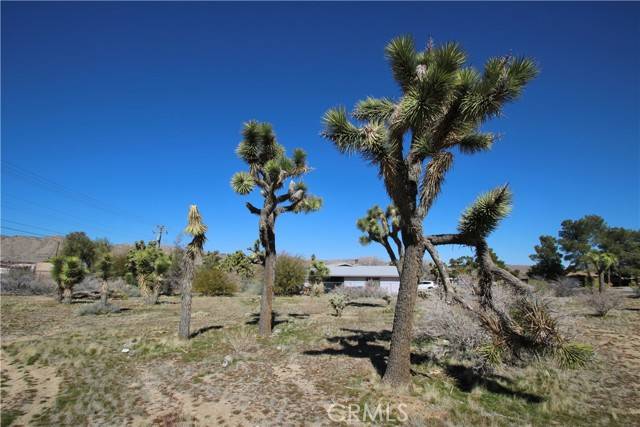 0 Condalia, Yucca Valley, CA 92284