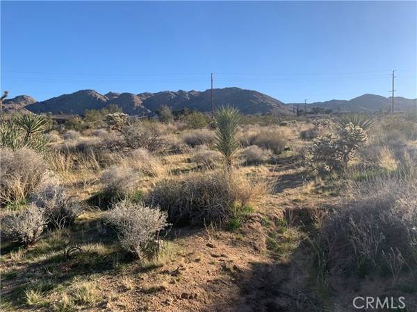 60300 Alta Mesa, Joshua Tree, CA 92252