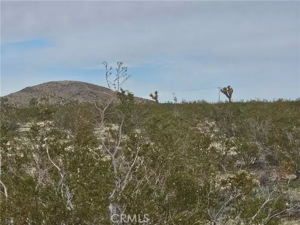 Joshua Tree, CA 92252,0 La Crescenta