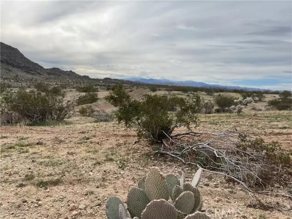 Joshua Tree, CA 92252,0 Outpost