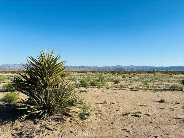 Joshua Tree, CA 92252,1974 Sunset