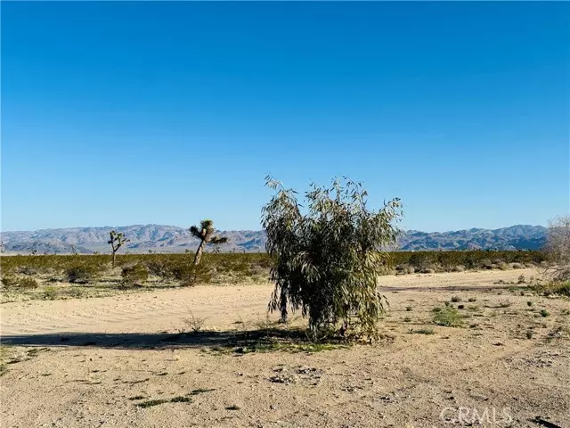 1974 Sunset, Joshua Tree, CA 92252