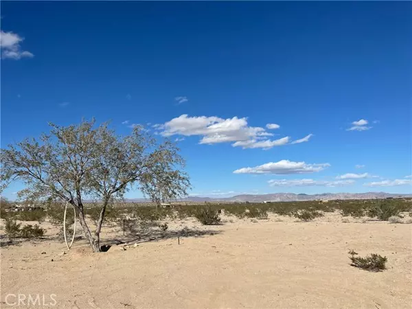 Joshua Tree, CA 92252,65370 Brant Cross