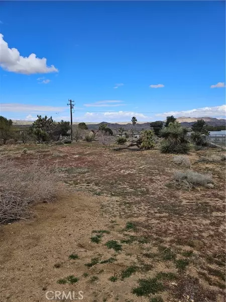 60374 La Mirada, Joshua Tree, CA 92252