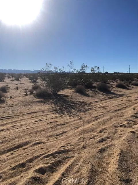 29 Palms, CA 92277,71440 Palmyra