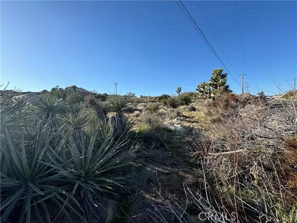 Yucca Valley, CA 92284,0 Buena Suerta