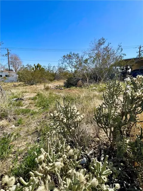 Yucca Valley, CA 92284,2 Indio