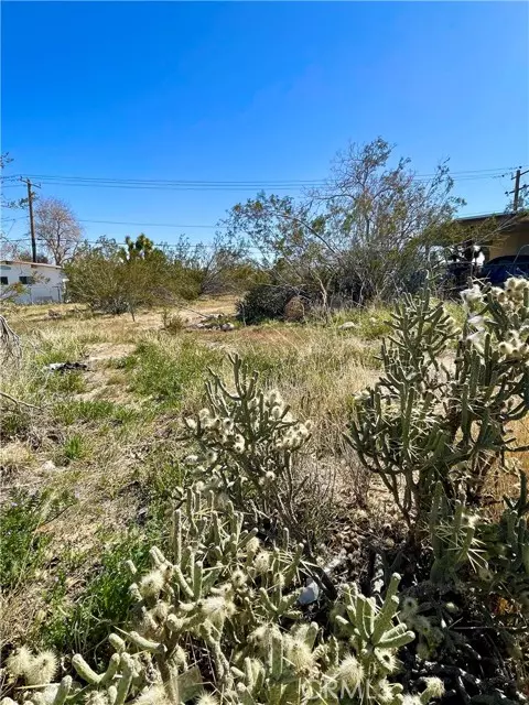 Yucca Valley, CA 92284,2 Indio