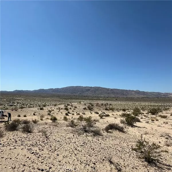 1234 Buena Vista, 29 Palms, CA 92277