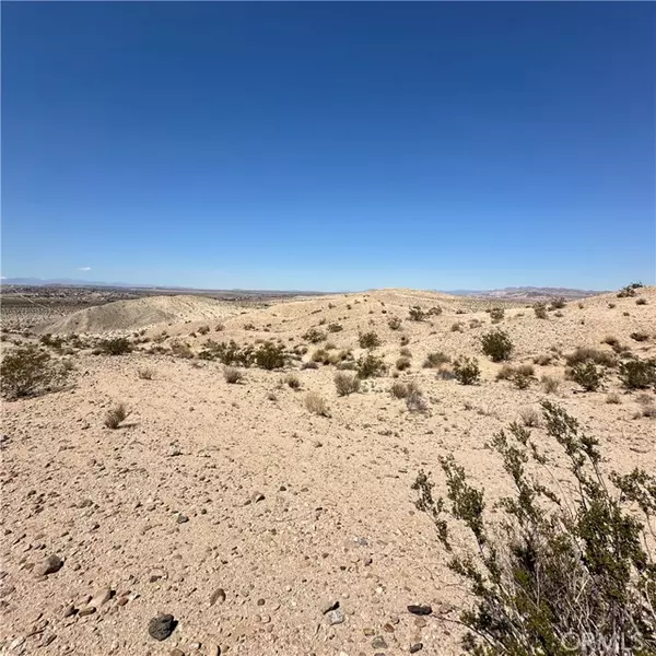 29 Palms, CA 92277,1234 Buena Vista