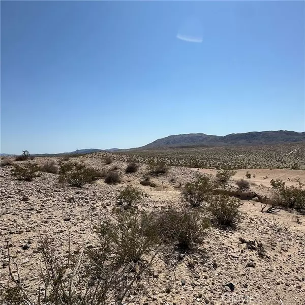 29 Palms, CA 92277,1234 Buena Vista