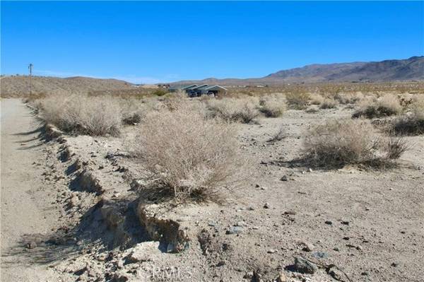 29 Palms, CA 92277,0 Park