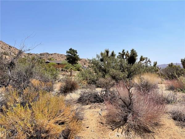 55750 Desert Gold, Yucca Valley, CA 92284