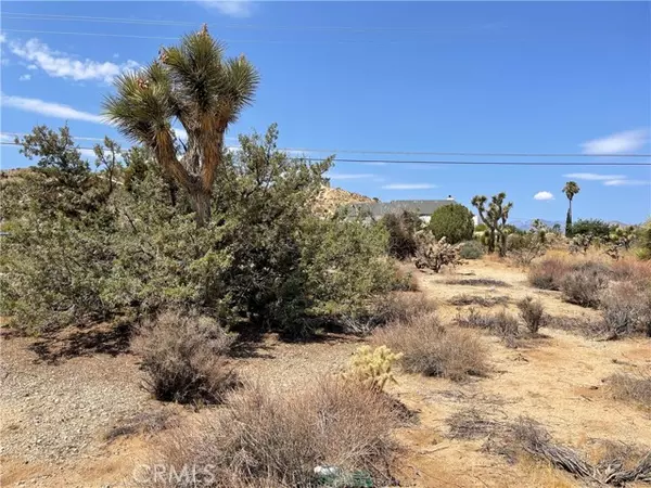 Yucca Valley, CA 92284,55740 Desert Gold