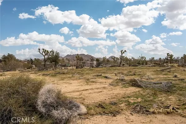 Joshua Tree, CA 92252,61329 Rocky Vista