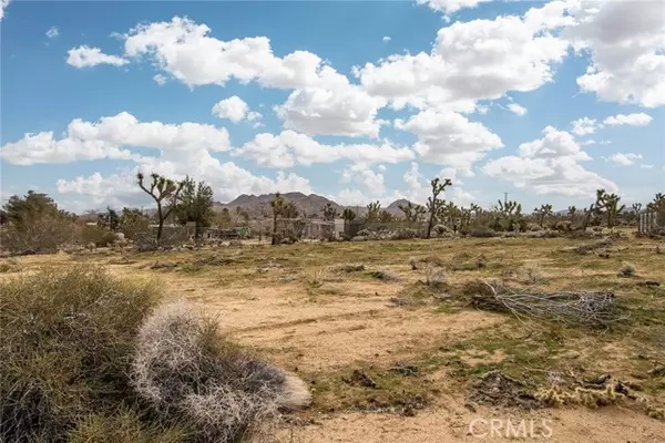 Joshua Tree, CA 92252,61329 Rocky Vista