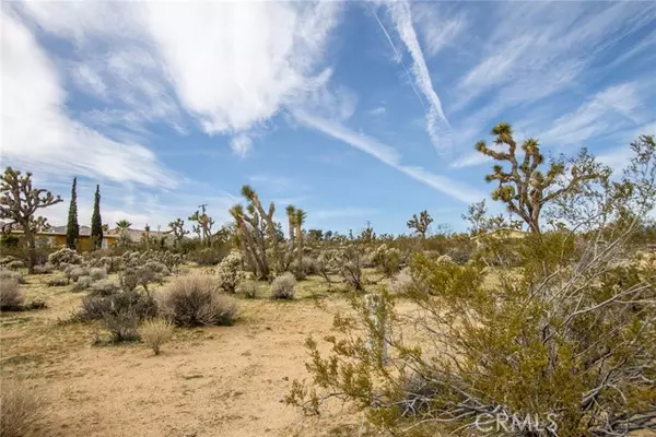 Joshua Tree, CA 92252,61329 Rocky Vista