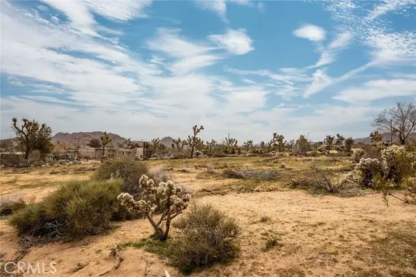 Joshua Tree, CA 92252,61329 Rocky Vista