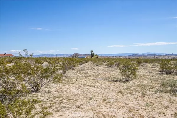 Joshua Tree, CA 92252,2600 Candela