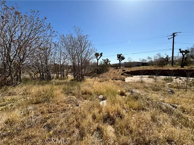 Yucca Valley, CA 92284,6453 Linda Lee