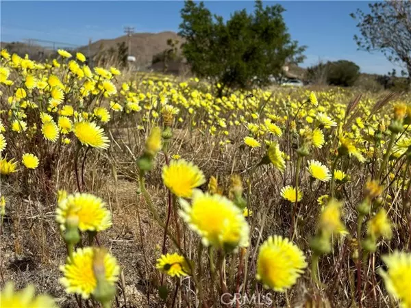 Yucca Valley, CA 92284,6453 Linda Lee