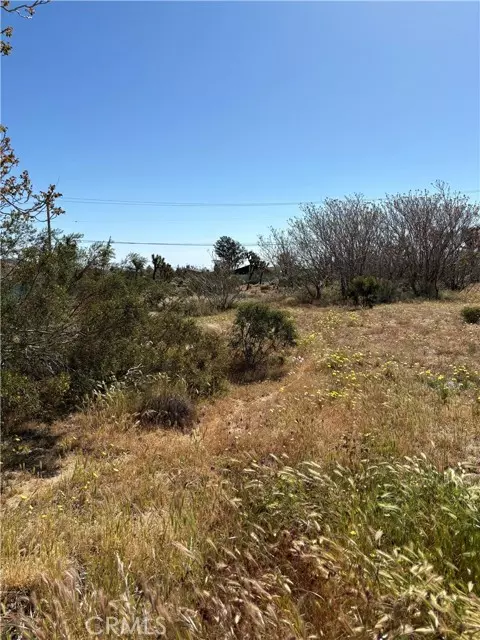 Yucca Valley, CA 92284,0 Linda Lee