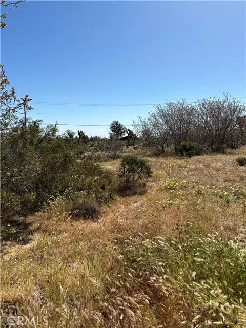 Yucca Valley, CA 92284,0 Linda Lee