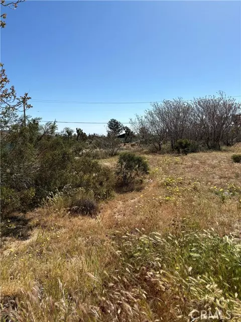 Yucca Valley, CA 92284,0 Linda Lee