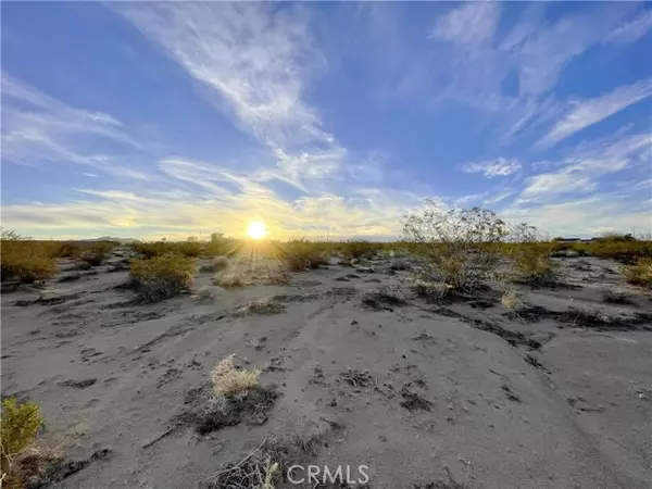 Joshua Tree, CA 92252,1972 Center