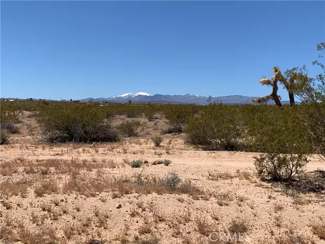 0 Sunny Sands, Joshua Tree, CA 92252