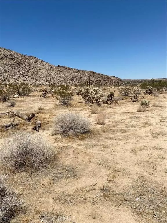 Joshua Tree, CA 92252,5814 Sunburst